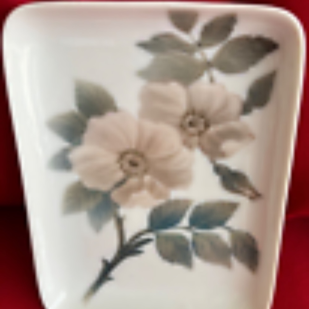 Vanity Tray (Rosenthal) for Dresser Jewelry Bathroom Tray Hand Painted Porcelai